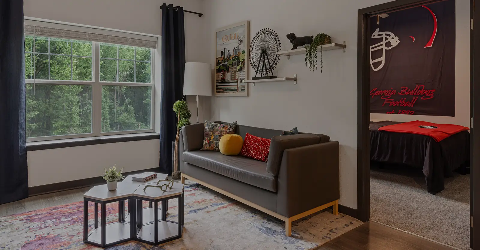 furnished living room