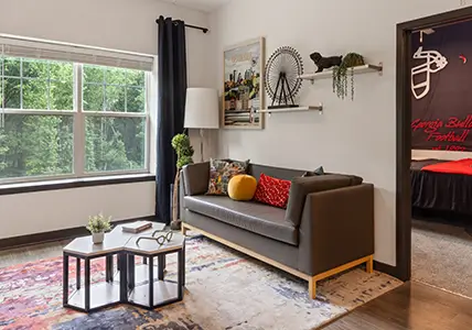 furnished living room